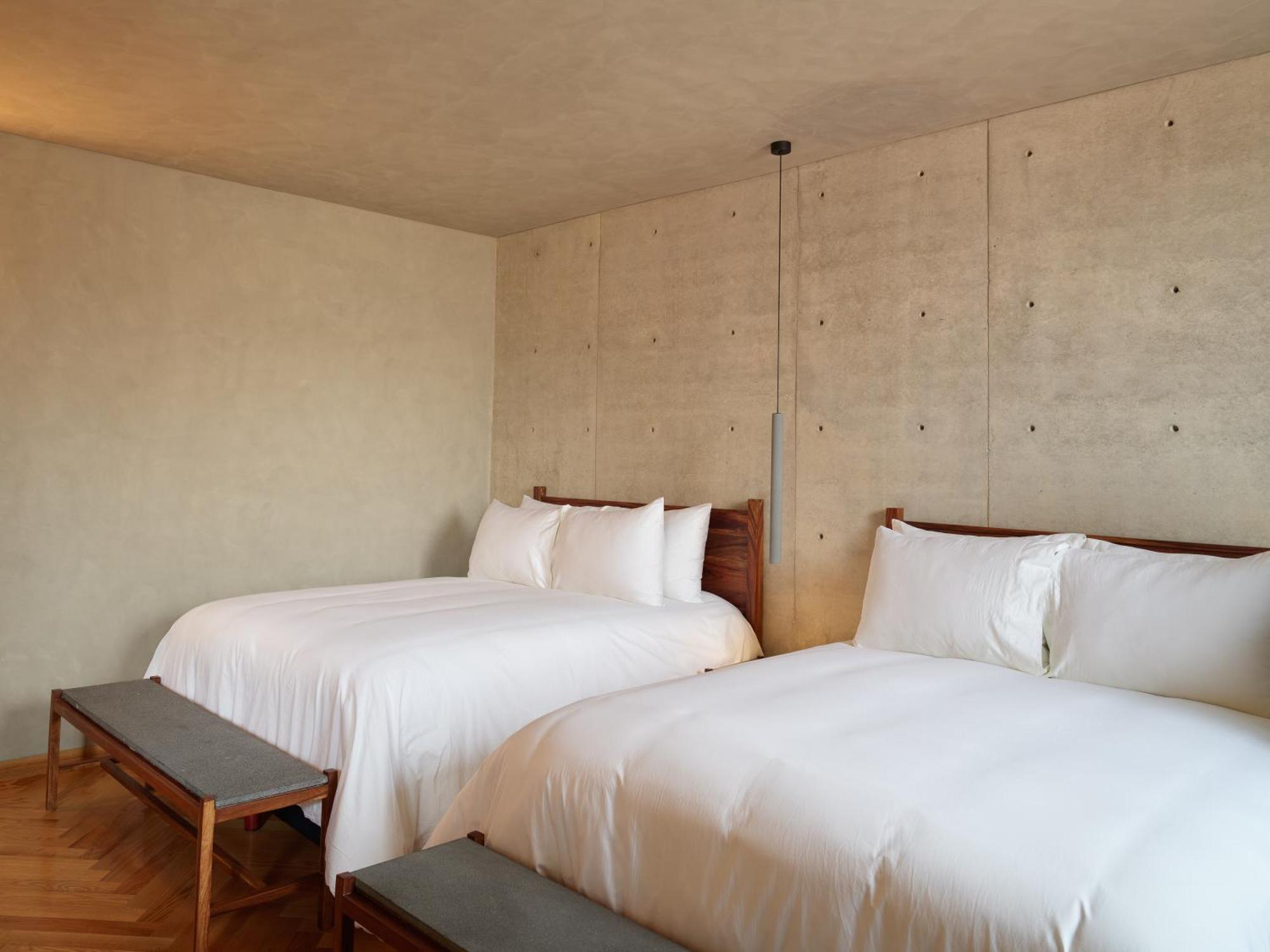 Maison Mexico Roma Экстерьер фото