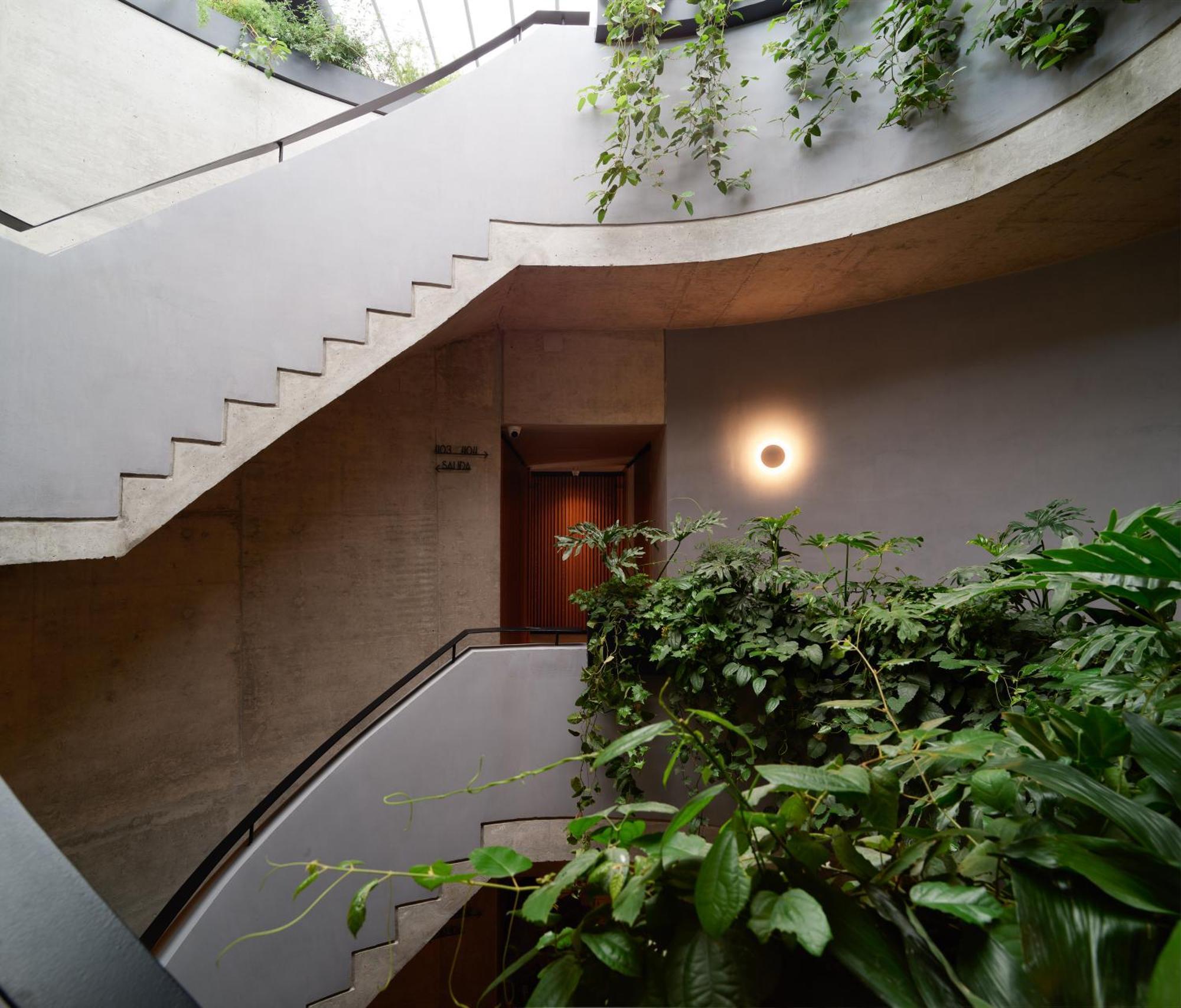 Maison Mexico Roma Экстерьер фото